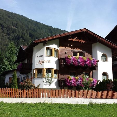 Ferienhaus Ahorn Neustift im Stubaital Exterior foto